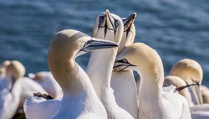 华体会电竞平台-中国青少年篮球发展政策效果评估与优化建议，中国青少年篮球训练教学大纲测试指标