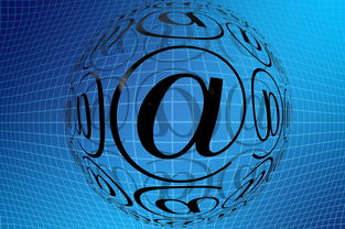 华体会体育入口-中国篮球职业联赛青训体系创新发展模式分析，中国青年篮球队